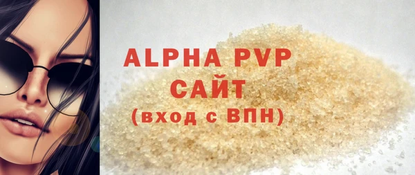 СК Покачи