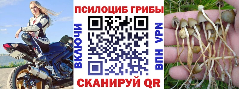Галлюциногенные грибы прущие грибы  Костерёво 